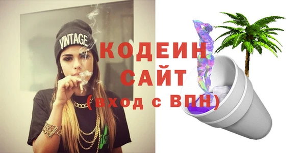 тгк Абаза