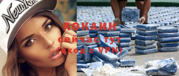 тгк Абаза