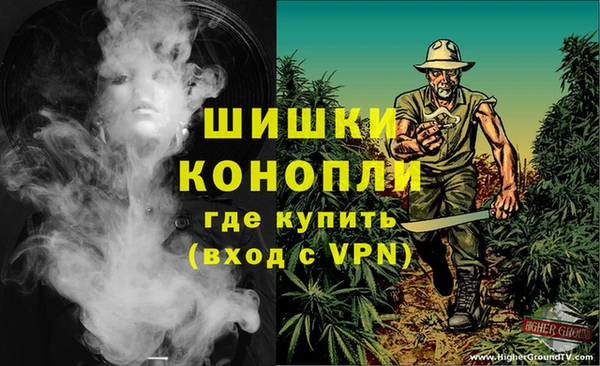 тгк Абаза