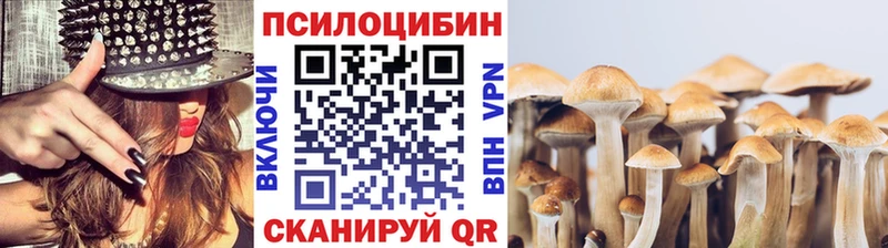 Псилоцибиновые грибы GOLDEN TEACHER  Ермолино 